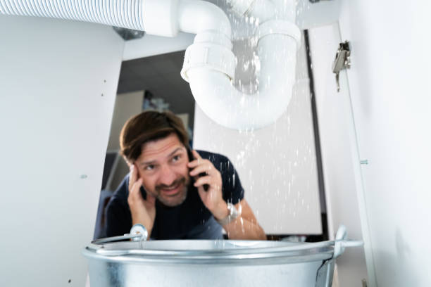 Best Leak Detection Services  in South Whitley, IN